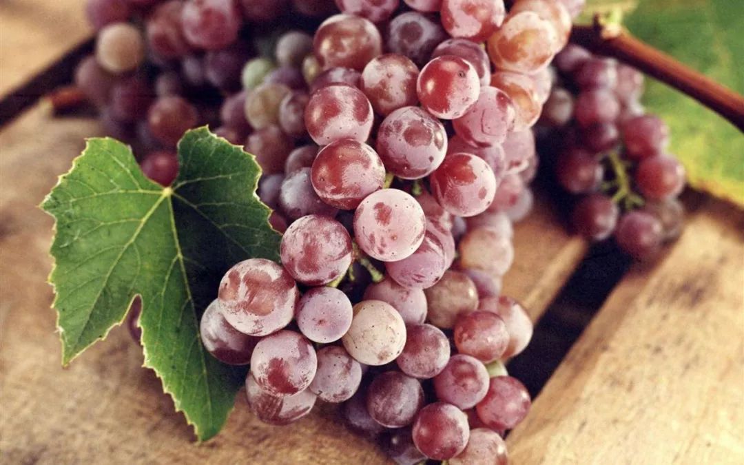 昆明潮玩攻略,昆明到弥勒自驾游详细路线