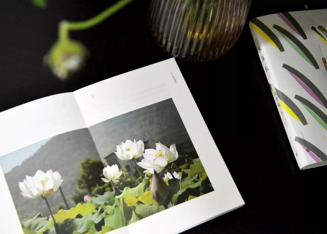 拔蒲歌原文,拔蒲歌书籍