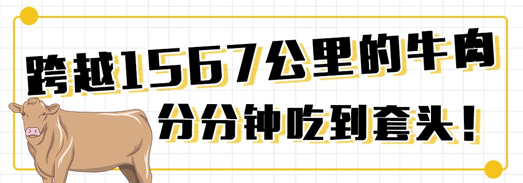中国最便宜的龙虾店,99元4斤龙虾