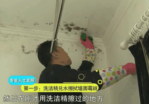家里墙壁发霉怎么根除,发霉的墙壁怎么去除霉斑