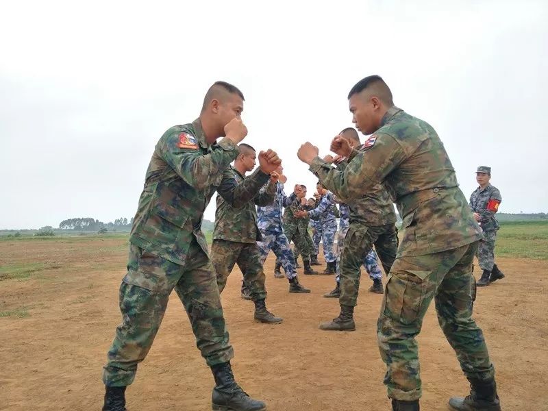 中泰友谊干杯完整视频,友谊地久天长图片唯美
