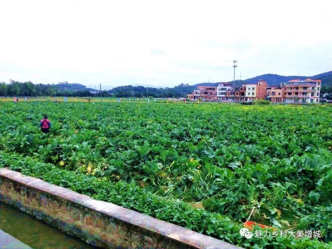 抓住假期小尾巴打卡最美网红地,抓住国庆假期的尾巴继续打卡
