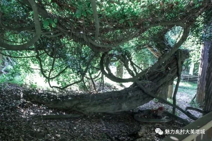 抓住假期小尾巴打卡最美网红地,抓住国庆假期的尾巴继续打卡