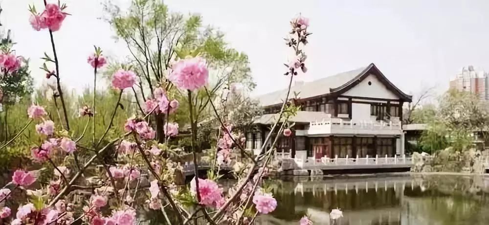 城事丨天津竟然有这么多免费公园可逛，趁假期最后一天赶紧去逛逛吧！