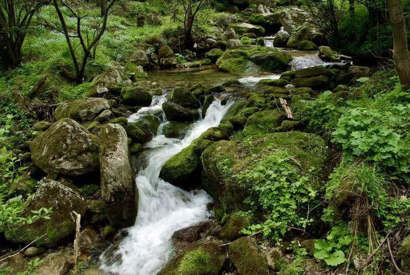 假期游夏令营,夏令营不玩手机