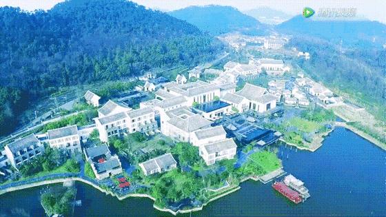 团购宁波柏悦酒店,铂悦优惠