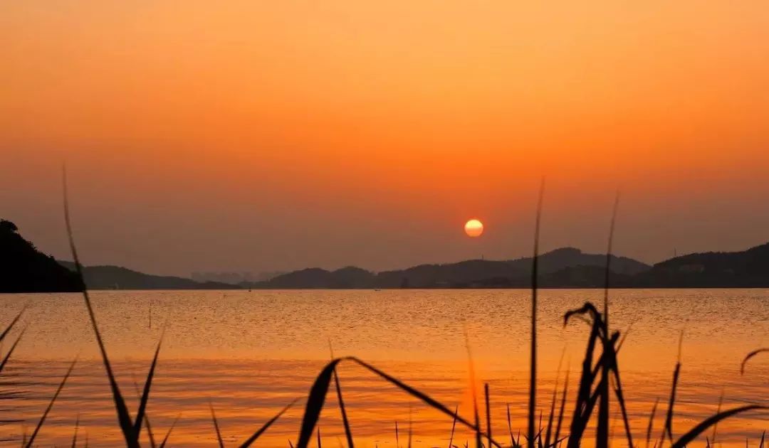 团购宁波柏悦酒店,铂悦优惠