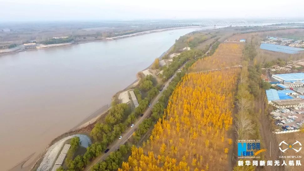 济南完蛋了,济南状态