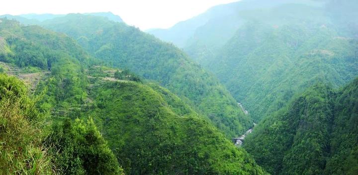 泰顺3000年｜70年前的5月3日，泰顺率温州各县之先获得解放