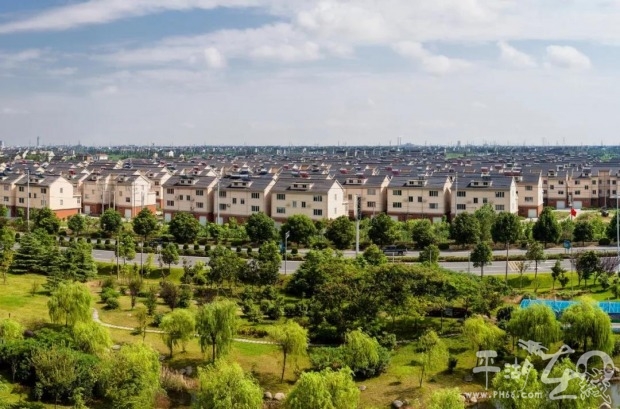 up主接力第十七期,2019第十二集预告