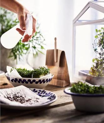 地上的柳絮怎么打扫小妙招,烦人的杨柳絮怎么处理