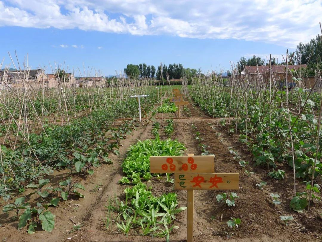 5.10妈妈的餐桌·北京盈科中心——写字楼里的农园市集