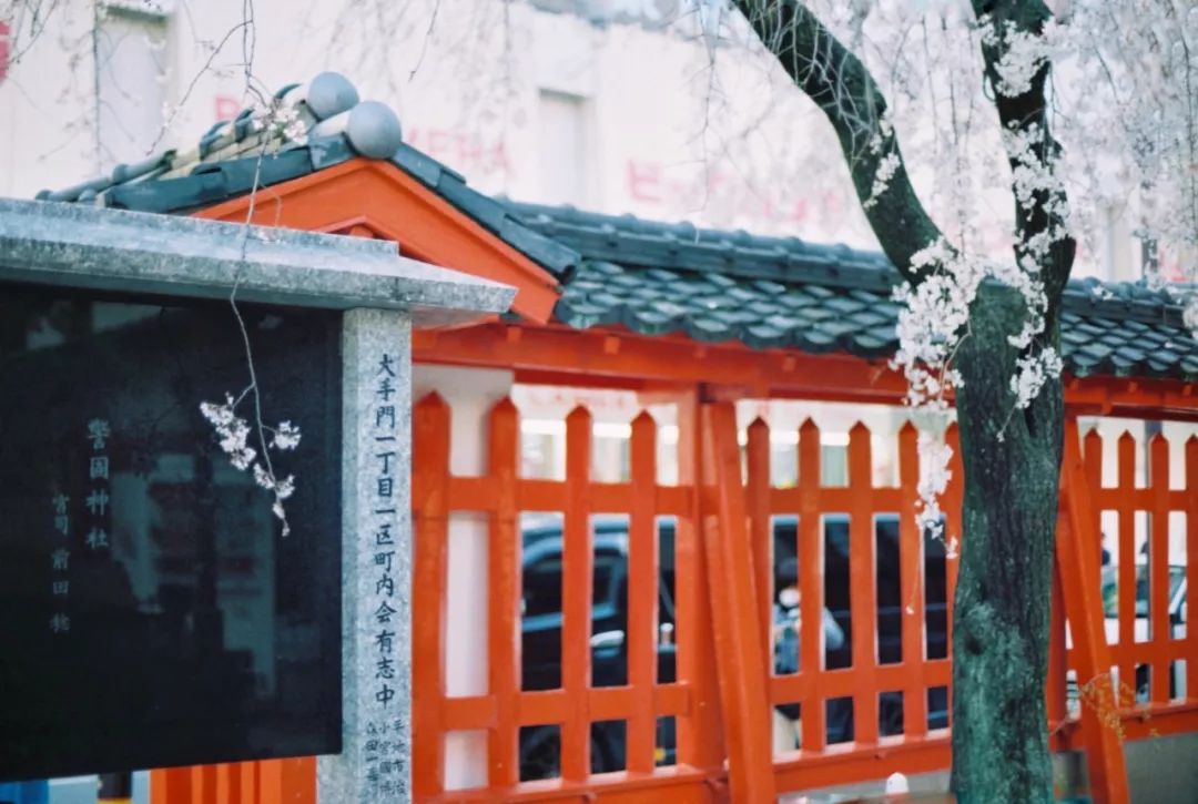 日本九州的宝藏,日本大量宝藏被发现