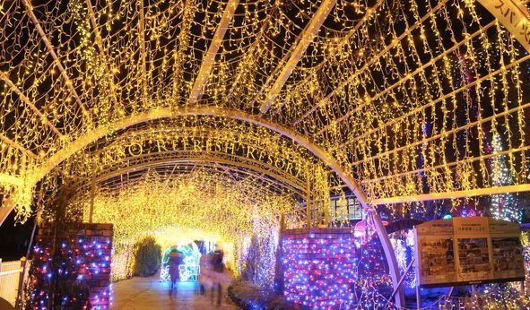 日本九州的宝藏,日本大量宝藏被发现