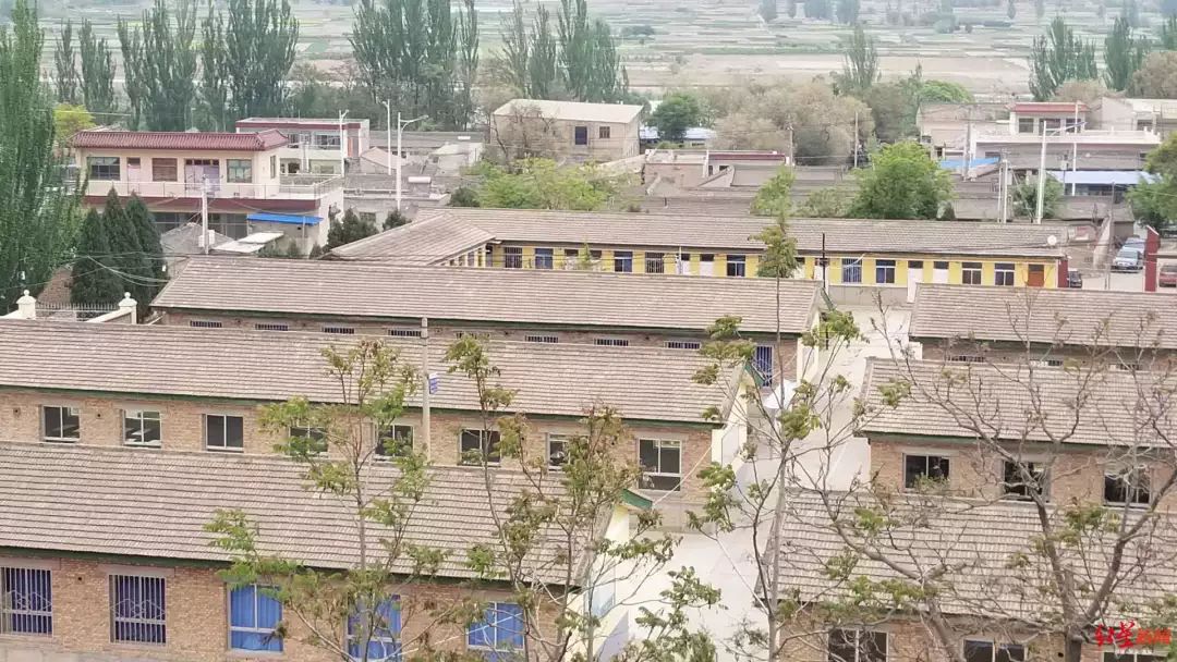 后脑勺头盖骨被打破，*体下**肿成两个拳头大！14岁少年竟被同学活活打死了