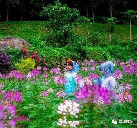 增城最火爆网红景点,增城客流量