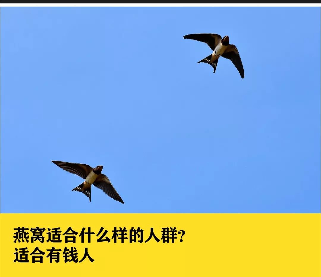 被吹上天却没有用的十种食物,被吹上天的食物没有什么价值