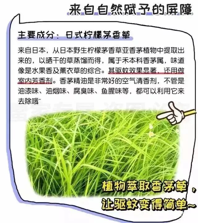 日本防蚊子膏,日本蚊虫叮咬止痒膏红皮