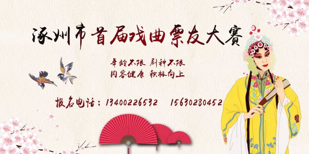 戏迷票友比赛全集,2019京津冀戏迷票友大赛