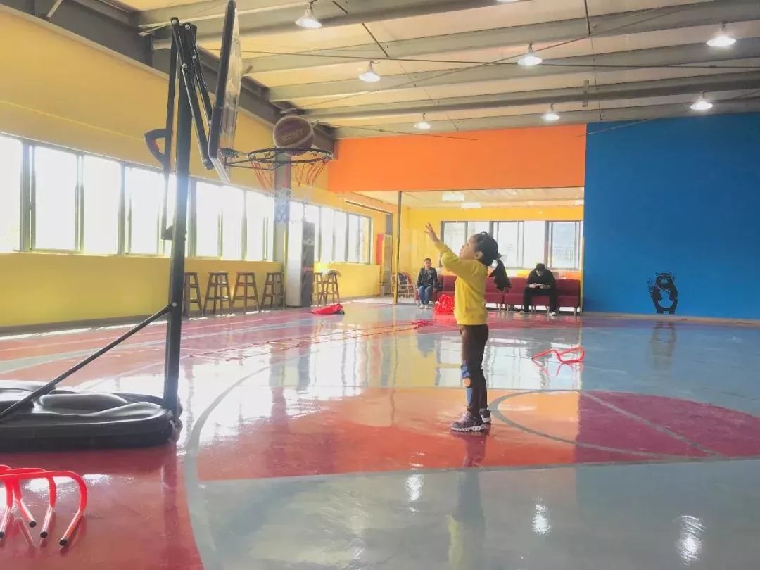 篮球课免费领,课程免费送vip