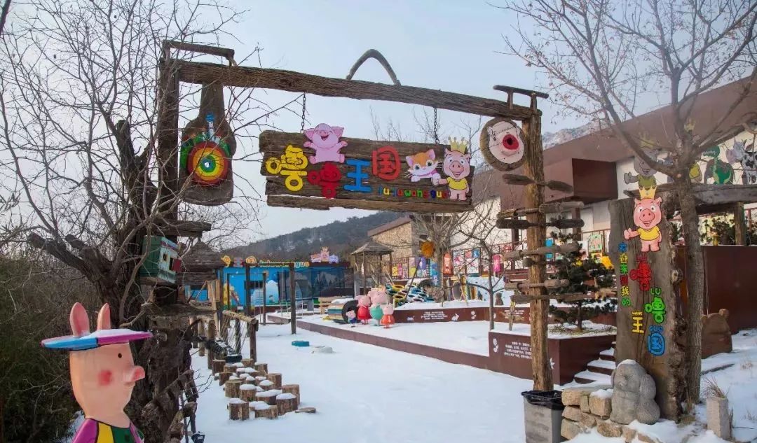 茶园主题民宿,茶园最好的民宿