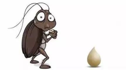 轻轻一喷快速消灭螨虫,车内蟑螂怎么消灭