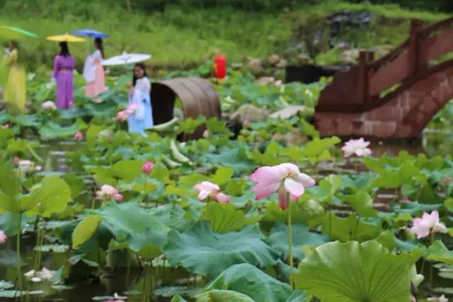 夏天婺源旅游攻略2天1晚,婺源旅游攻略三天两夜自由行