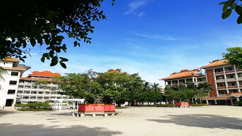 海南特长生初中招生政策,2021年海南高中特长生招生流程