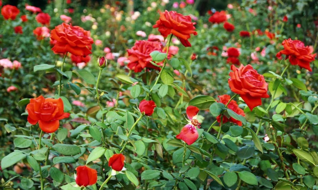 一日游推荐福州闽清,闽清周边自驾一日游攻略