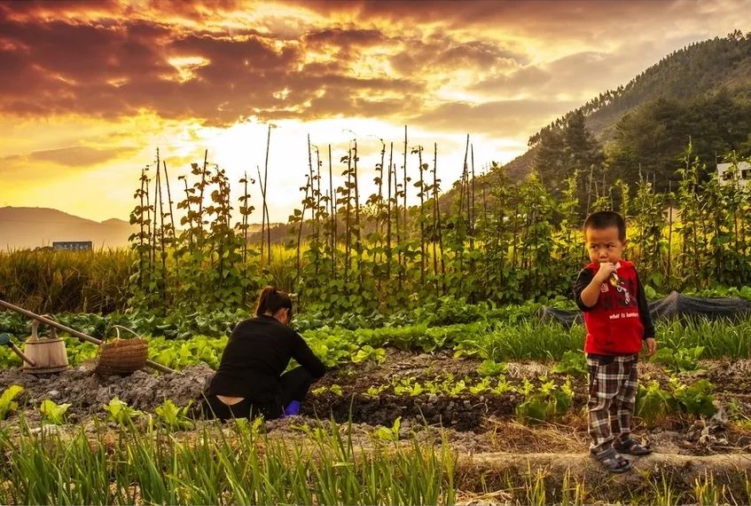 一日游推荐福州闽清,闽清周边自驾一日游攻略