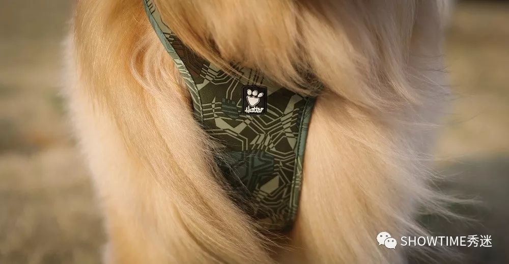 我要安利这些个爆款，因为它们好用到“爆”！（下）