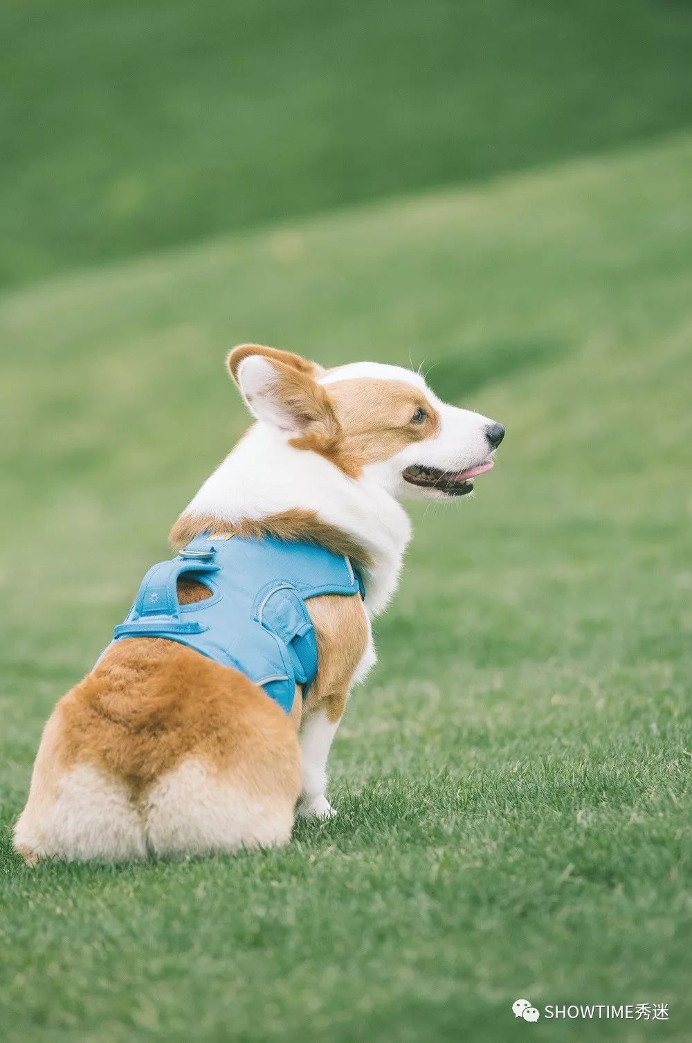 我要安利这些个爆款，因为它们好用到“爆”！（下）