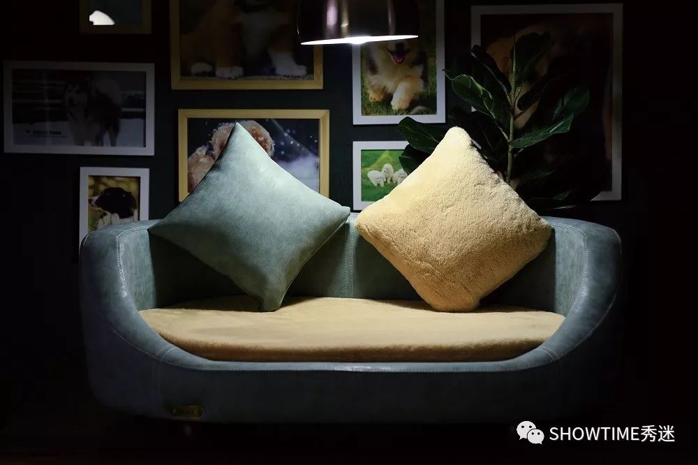 我要安利这些个爆款，因为它们好用到“爆”！（下）