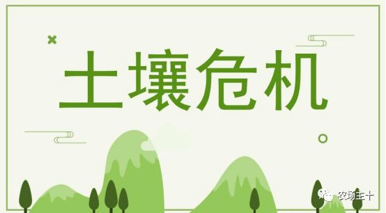 拿什么拯救我的你,拿什么拯救我的植物