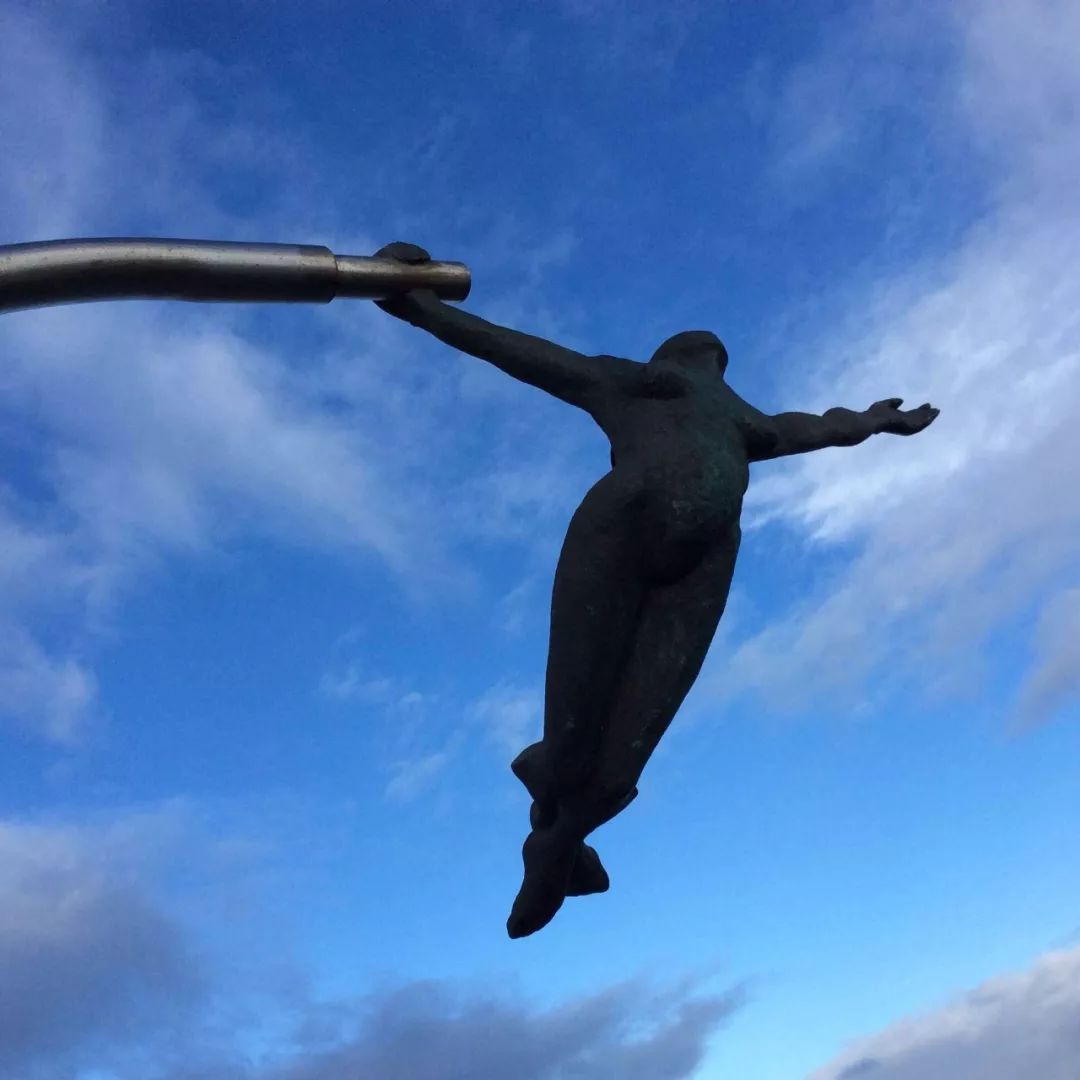 他们被平等和尊重地对待，而不是被规训为一棵韭菜丨周末