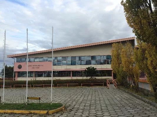 他们被平等和尊重地对待，而不是被规训为一棵韭菜丨周末