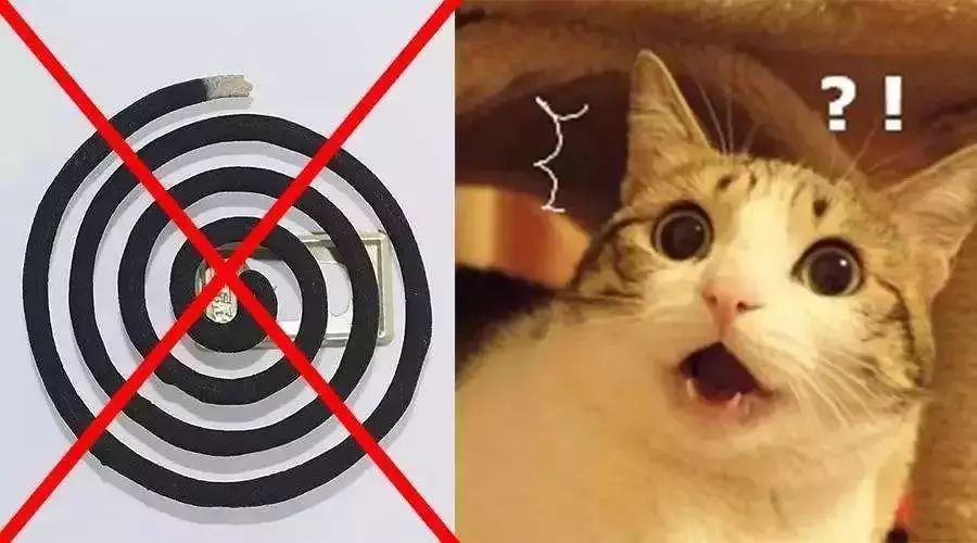 日本驱蚊好物,夏天灭蚊必备好物