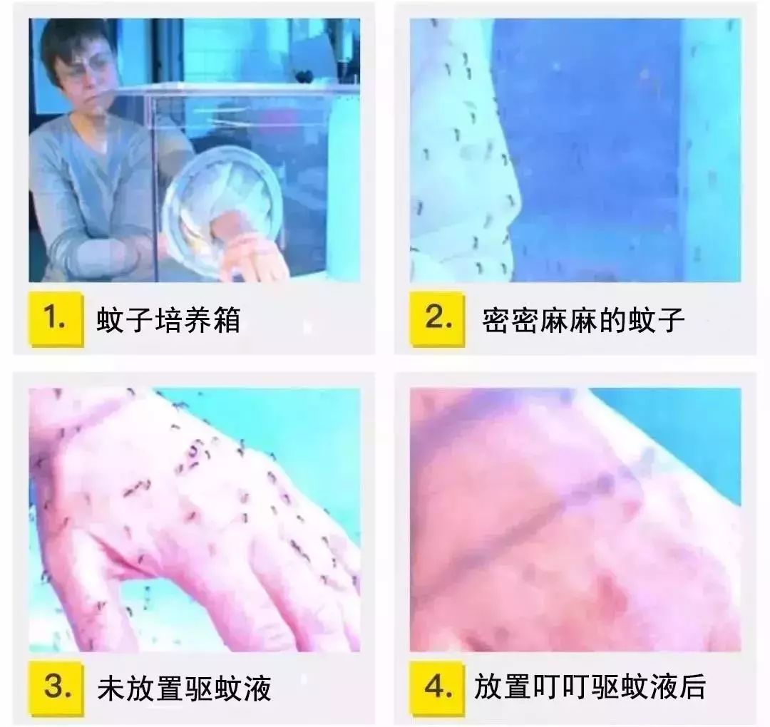 日本驱蚊好物,夏天灭蚊必备好物