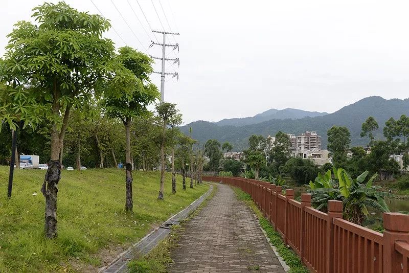 闽侯上街将再添一条生态景观路，一起去看看