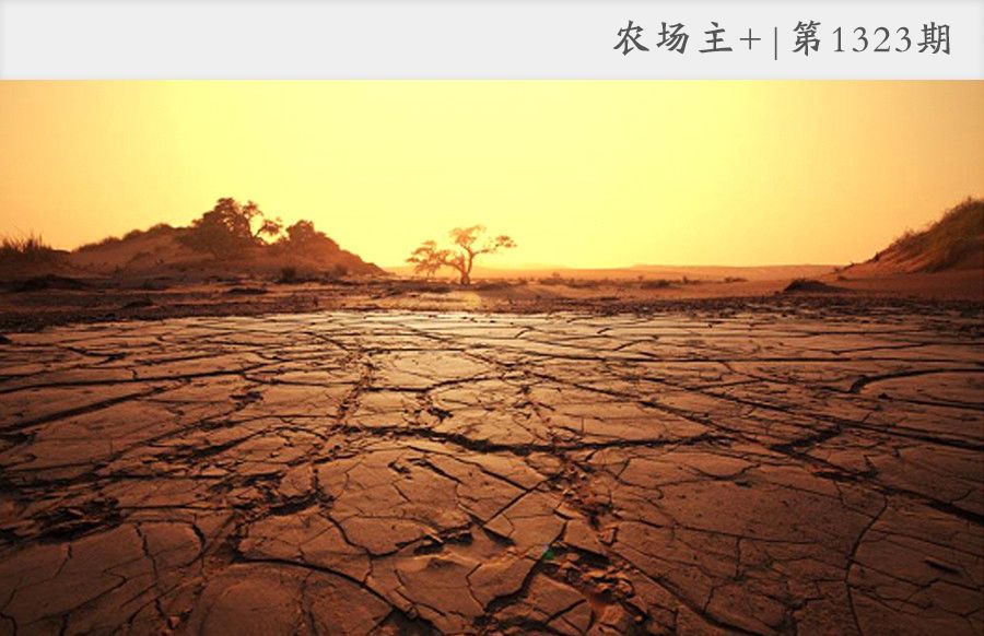 拿什么拯救你的自己,拿什么拯救你歌曲