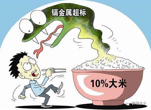 拿什么拯救你的自己,拿什么拯救你歌曲