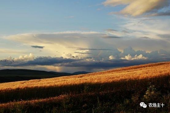 拿什么拯救你的自己,拿什么拯救你歌曲