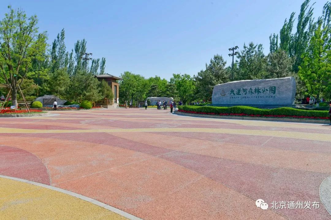 最美赛道来啦！在花香中奔跑！通州运河半马沿途美景抢先看~