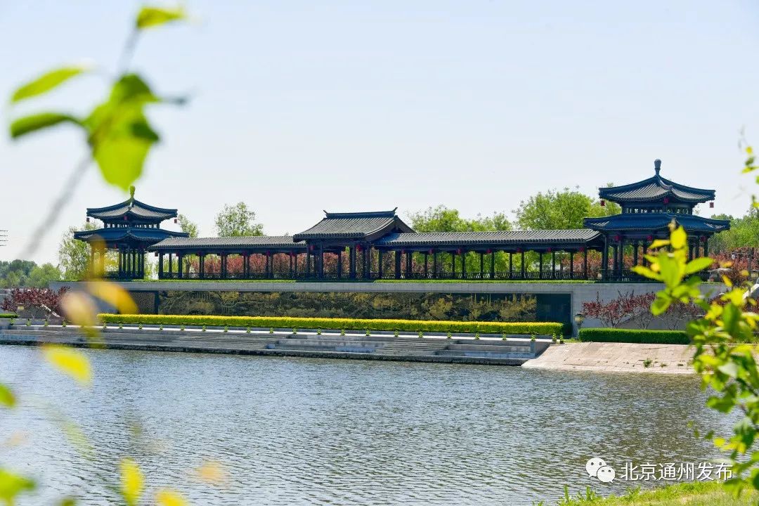 最美赛道来啦！在花香中奔跑！通州运河半马沿途美景抢先看~