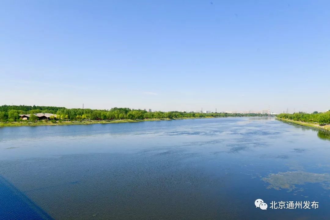 最美赛道来啦！在花香中奔跑！通州运河半马沿途美景抢先看~