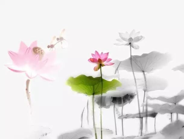 湿热失眠一招解决,湿热失眠最快入睡方法
