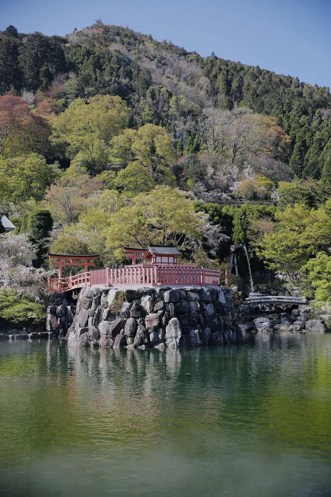 大阪｜你错过了这座带仙气儿的寺庙，以及跳蚤市场和潮牌一条街…