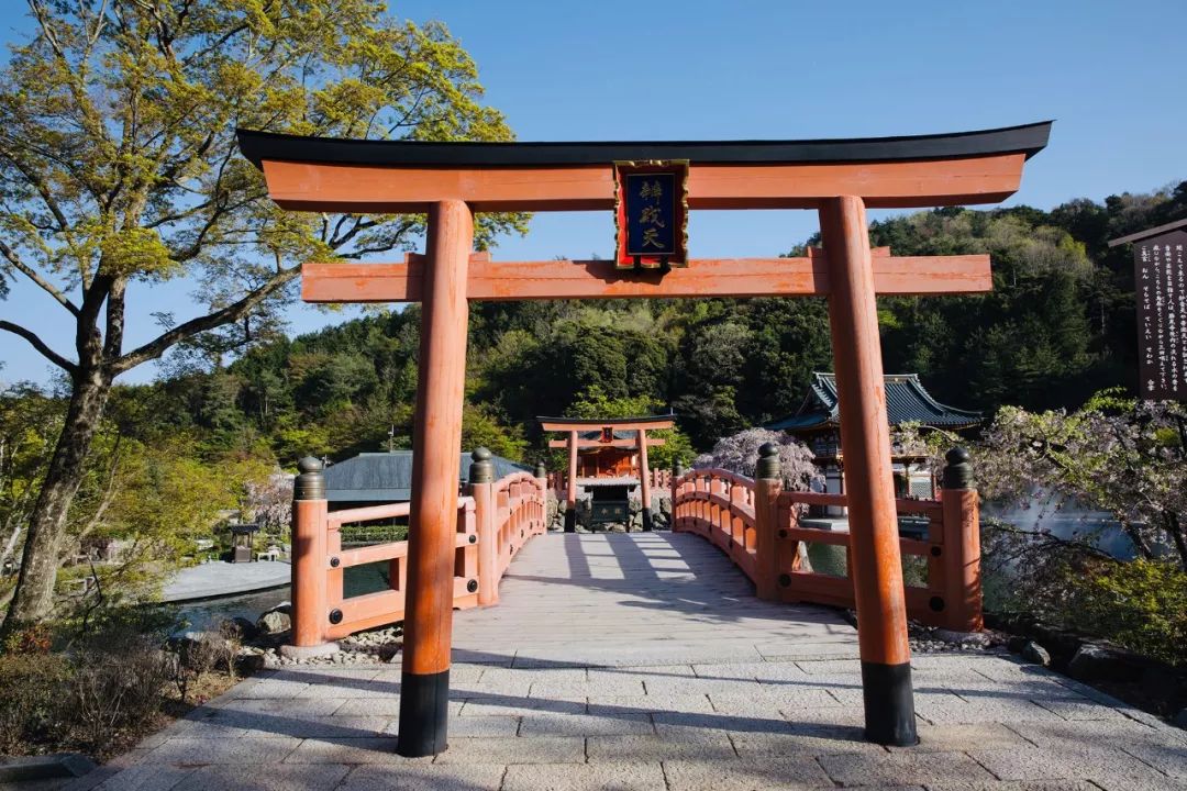 大阪｜你错过了这座带仙气儿的寺庙，以及跳蚤市场和潮牌一条街…