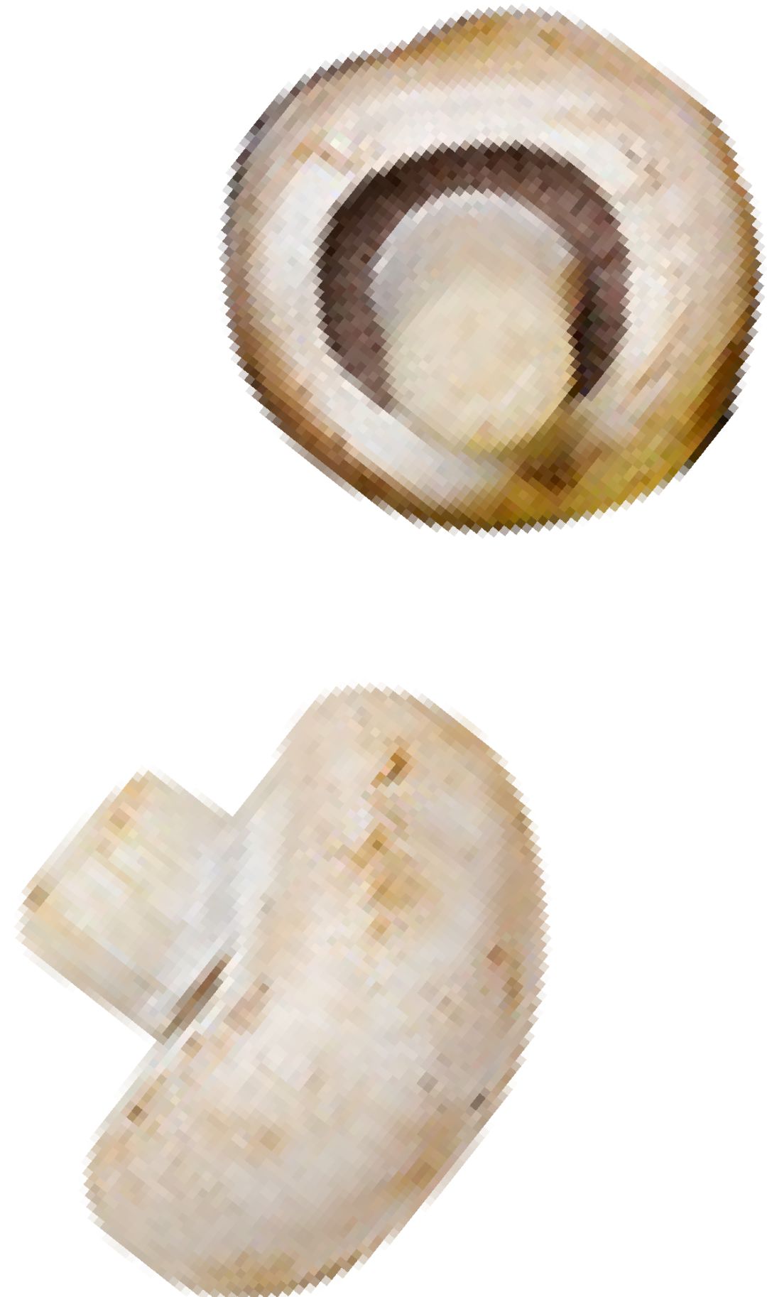 天啦噜！我终于活成了考察退休地的中年少女