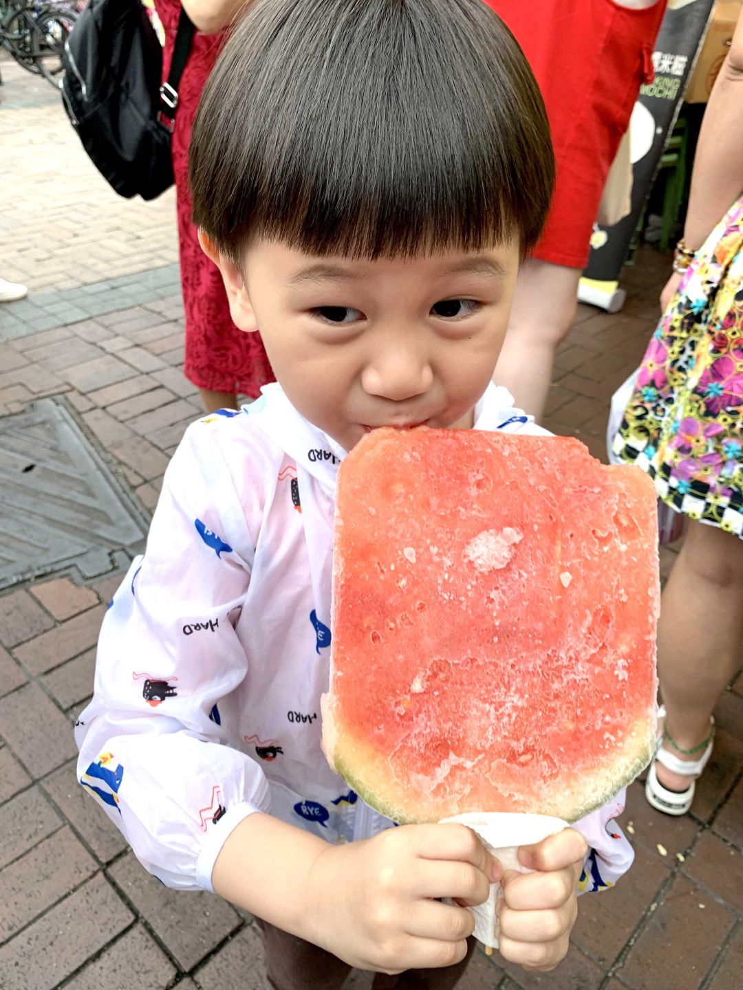 天啦噜！我终于活成了考察退休地的中年少女